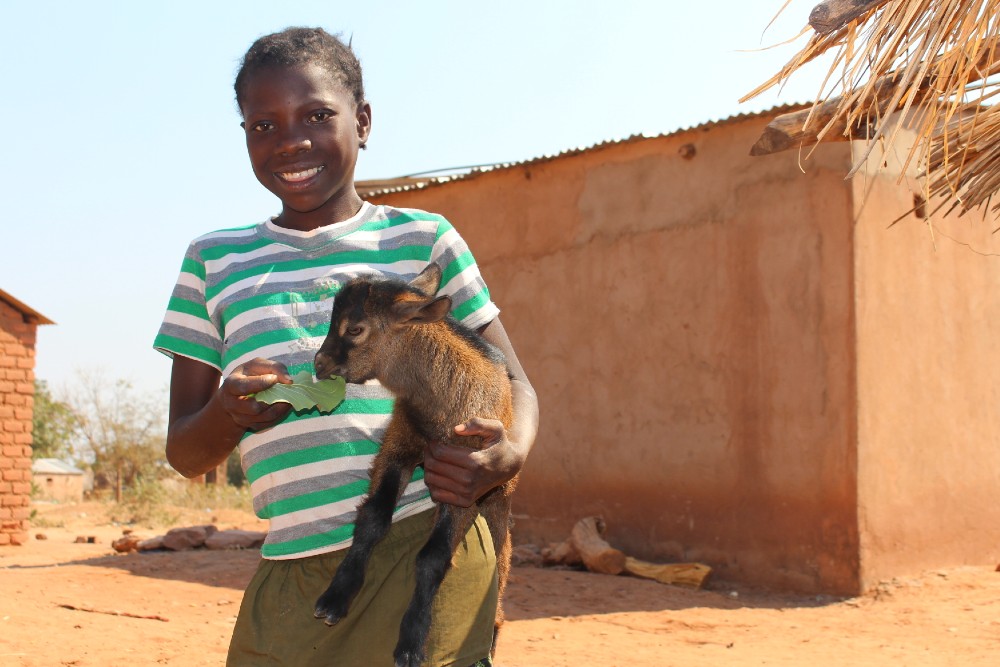 How Luangwa’s Community Health Agents Saved Monica from Malaria