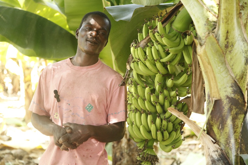 How Nathan Turned Dry Land into a Thriving Plantation in Luangwa District