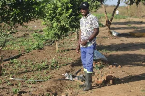 Meet Robby a thriving farmer and entrepreneur in rural Chibombo