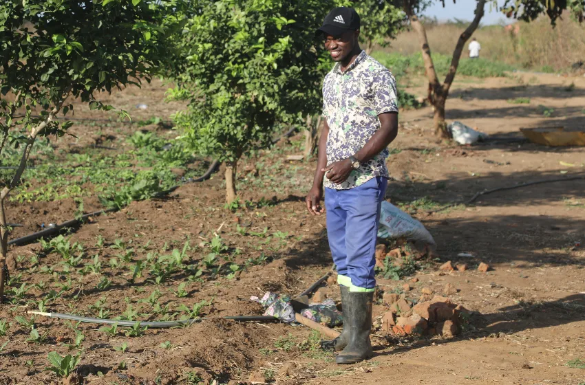 Meet Robby a thriving farmer and entrepreneur in rural Chibombo