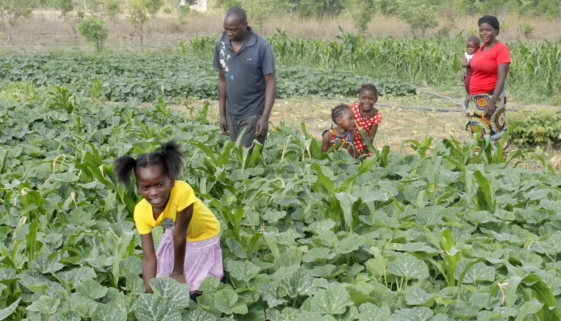 Local farmers now have a ready market for their products.